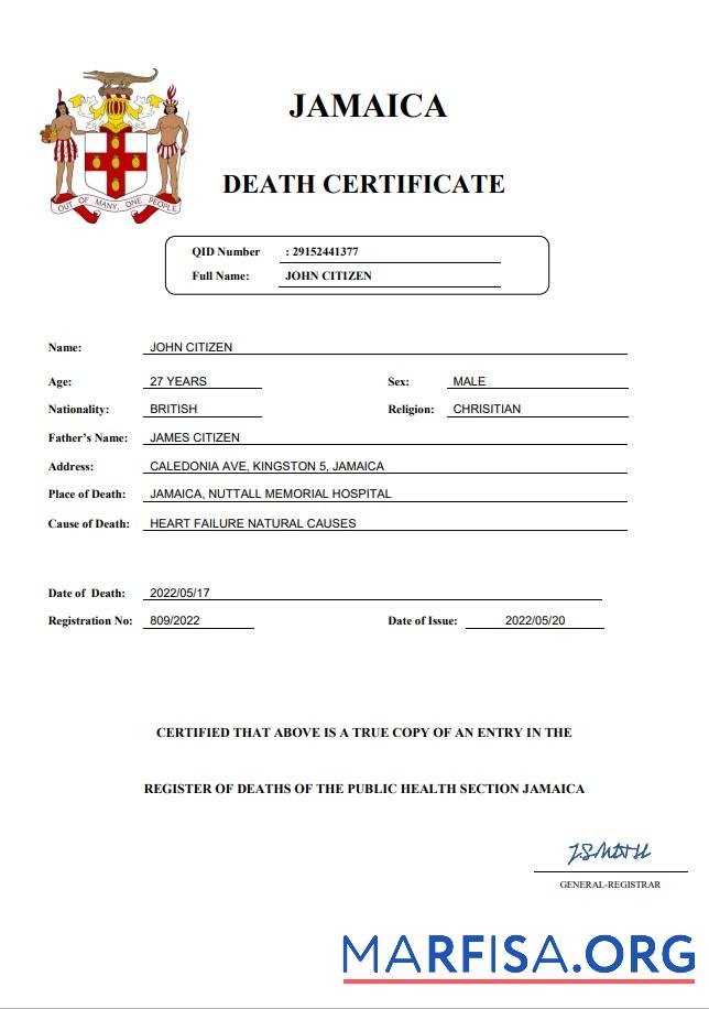Printable Jamaica vital record death certificate Word and PDF template
